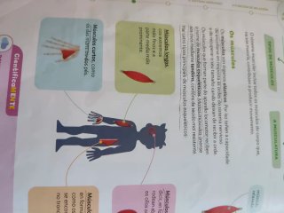 Ciencias da naturaleza, 6 Primaria, Proxecto Co...