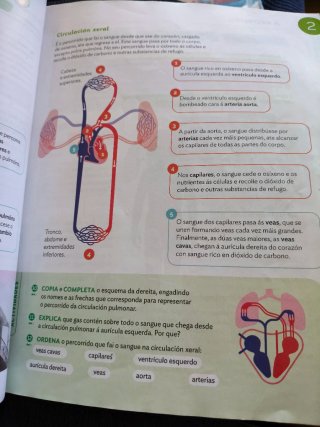 Ciencias da naturaleza, 6 Primaria, Proxecto Co...