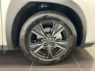 Lexus UX300H UX+ 2025 REF 4216