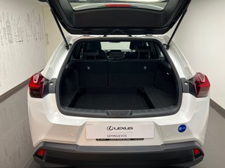Lexus UX300H UX+ 2025 REF 4216