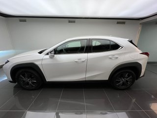 Lexus UX300H UX+ 2025 REF 4216