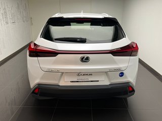 Lexus UX300H UX+ 2025 REF 4216