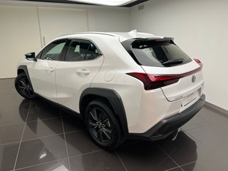Lexus UX300H UX+ 2025 REF 4216