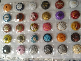 Lote de chapas de cava