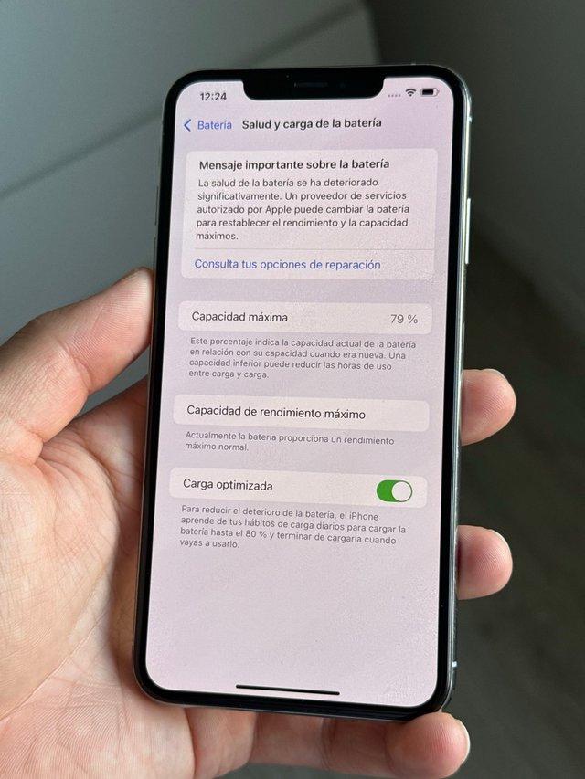 iPhone XS Max 256Gb