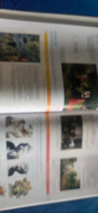 Libro de texto.Visual Arts. 1 Secondary. Revuela