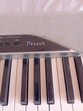 Piano Casio Privia PX-310