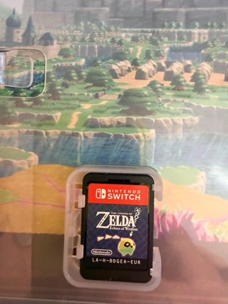 The Legend of Zelda: Echoes of Wisdom Switch