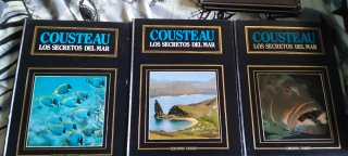 Los secretos del mar - Cousteau