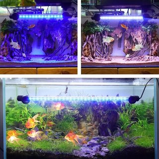 Lampada LED per Acquario in Cristallo/Plastica