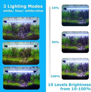 Lampada LED per Acquario in Cristallo/Plastica