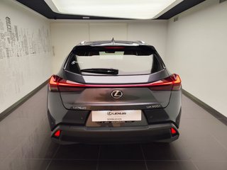 Lexus UX300H UX+ 2025 REF 8083