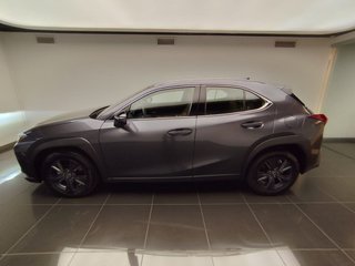 Lexus UX300H UX+ 2025 REF 8083
