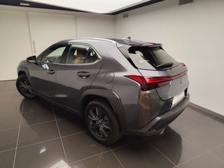 Lexus UX300H UX+ 2025 REF 8083