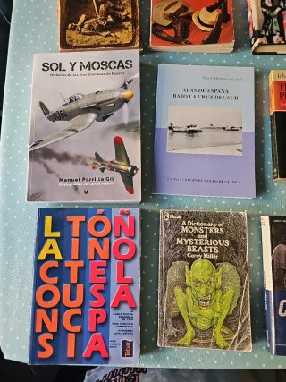 Lote de libros todos 10 euros