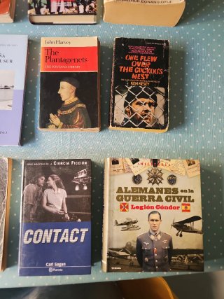 Lote de libros todos 10 euros