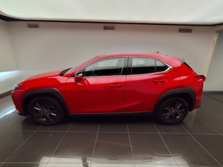 Lexus UX300H UX+ 2025 REF 8089