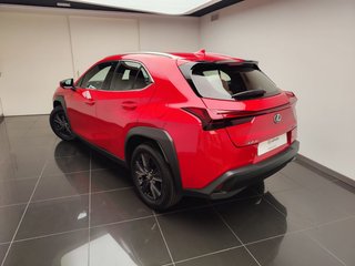 Lexus UX300H UX+ 2025 REF 8089