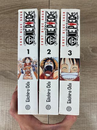 One Piece (3 en 1)