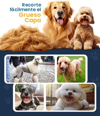 ¡¡-50%!! | Oneisall - Maquina Cortar Pelo Perros