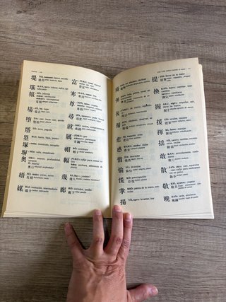 Kanji, La escritura japonesa
