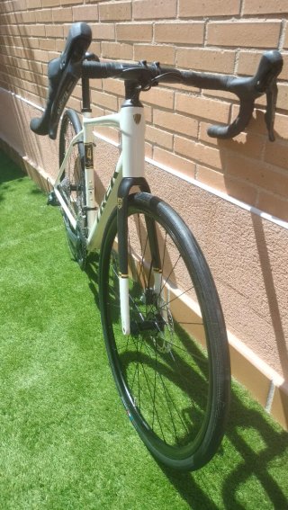 Bici Trek Domane
