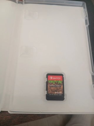 Minecraft Nintendo Switch