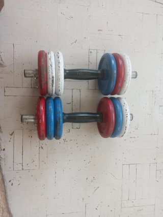 Mancuernas Salter con discos de colores de 1kg