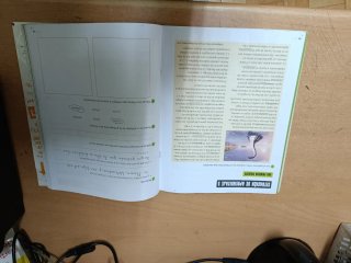 Lengua castellana y Literatura, 4 Primaria, Seg...