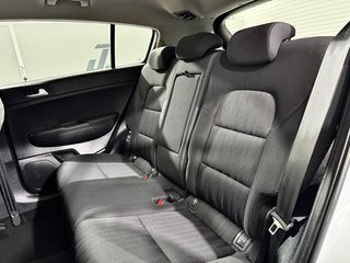KIA Sportage Business 1.6 DCT MHEV 136CV 4X4 48V