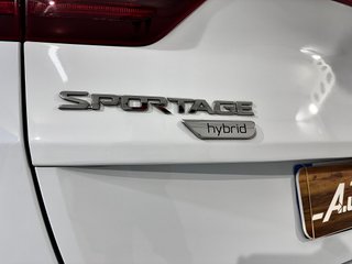 KIA Sportage Business 1.6 DCT MHEV 136CV 4X4 48V