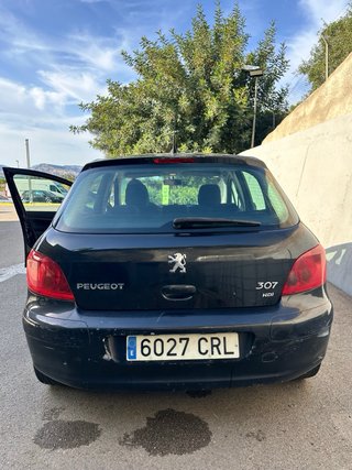 Peugeot 307 2.0 HDI 110CV 2004
