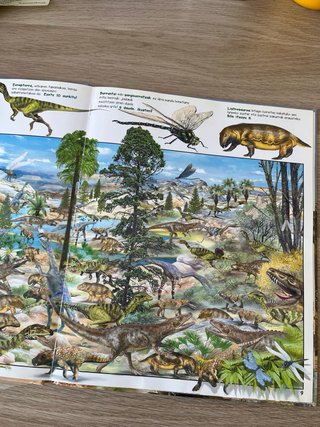 Aurkitu animaliak lurrean