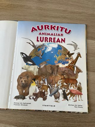 Aurkitu animaliak lurrean