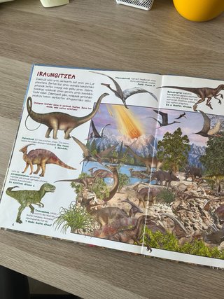 Aurkitu animaliak lurrean