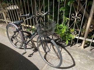 Bici Bottecchia da città/trekking
