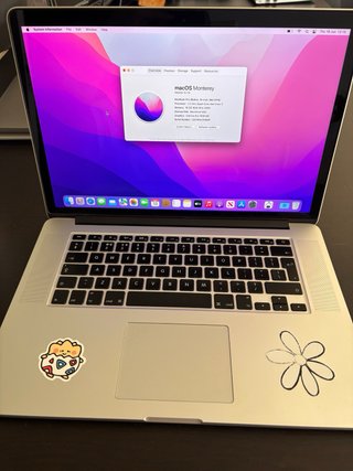MacBook Pro Retina 2015 i7 16GB RAM