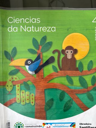 Pack de Libros de 4 primaria Santillana