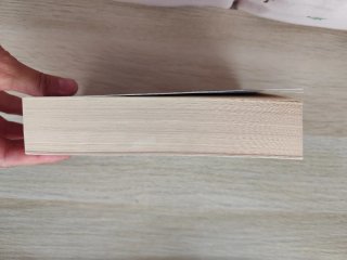 El camino de las sombras