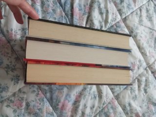 Lote libros Barbara Wood