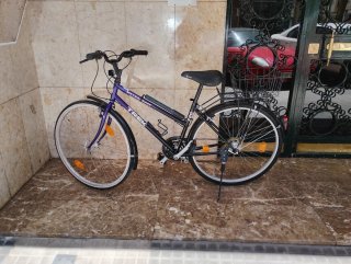 Bicicleta Trek Clásica Paseo