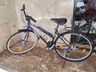Bicicleta Trek Clásica Paseo