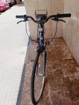 Bicicleta Trek Clásica Paseo