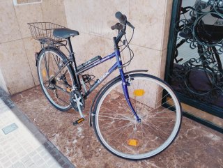 Bicicleta Trek Clásica Paseo