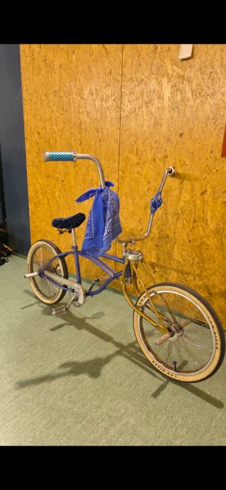 Bicicleta Low Rider 300