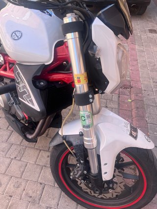 Benelli 302 Blanca