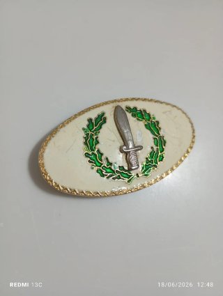 Chapa militar antigua con espada y laurel