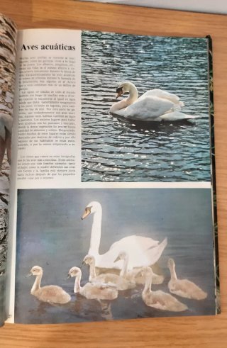 El fabuloso mundo de las aves y los peces