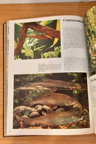El fabuloso mundo de las aves y los peces
