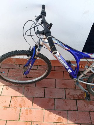 Bicicleta infantil azul